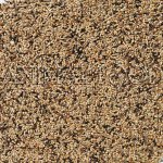 Deli Nature 70 Neophemas Premium 4 kg – Hledejceny.cz