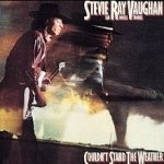 Vaughan Stevie Ray - Couldn't Stand The Weather CD – Hledejceny.cz