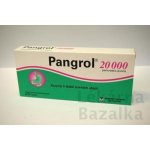 PANGROL POR 20000IU TBL ENT 20 II – Hledejceny.cz