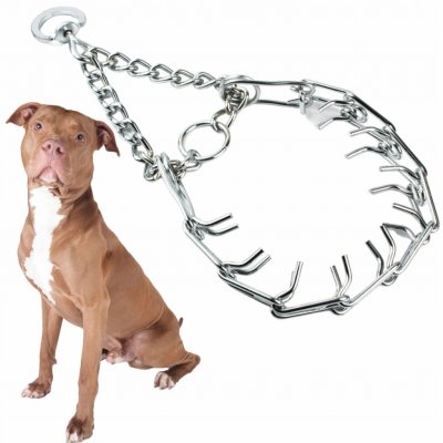 Wesolypupil Obojek pro psa kovový piercing – Zboží Mobilmania