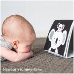 Taf Toys knížka pro hru na bříšku – Zboží Dáma