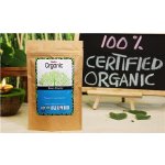 Radico Bylinná kúra BIO Neem přírodní antibiotikum pro vlasy 100 g – Hledejceny.cz