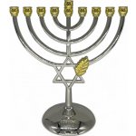 Chanukija s Davidovou hvězdou a ratolestí 16 x 17,5cm – Zboží Dáma