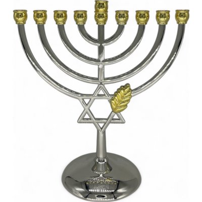 Chanukija s Davidovou hvězdou a ratolestí 16 x 17,5cm – Zboží Dáma