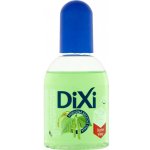 Dixi březová vlasová voda na suché vlasy 125 ml – Zboží Dáma