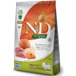 N&D Pumpkin Dog Adult Mini Grain Free Boar & Apple 2,5 kg – Zboží Mobilmania