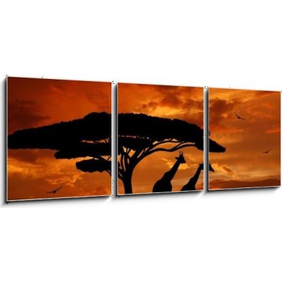 Obraz 3D třídílný - 150 x 50 cm - herd of giraffes in the setting sun stádo žirafů na zapadajícím slunci – Zbozi.Blesk.cz