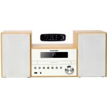 BLAUPUNKT MS45BT – Zboží Živě