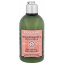 L'Occitane regenerační Conditioner Aromachologie Repairing Conditioner pro suché a poškozené vlasy 250 ml