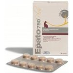 ICF Industria Chimica Fine Epato 750 30 tbl. – Zboží Dáma