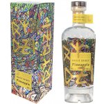 Raspenava Ananasovice 48% 0,5 l (karton) – Zboží Dáma