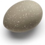 Dekorativní vajíčka Cooee Sand set 2 ks COOEE Design – Hledejceny.cz
