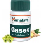 Himalaya Gasex 100 tablet – Hledejceny.cz