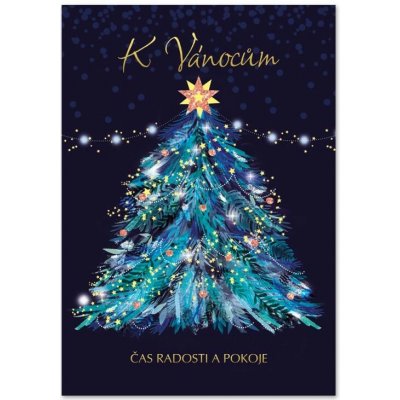 Ditipo Vánoční hrací blahopřání - V půlnoční hodinu, Jaromír Nohavica - c900857 – Zboží Dáma