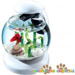 Tetra Cascade LED akvarijní set bílý 6,8 l – Zboží Mobilmania
