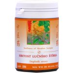 TCM Herbs Hbitost lučního štírka 100 tablet – Hledejceny.cz