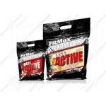 Fitmax Mass Active 5000 g – Hledejceny.cz