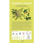 Lipka - školské zaří PROSTŘENO V PŘÍRODĚ – Hledejceny.cz