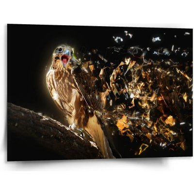 Sablio Obraz Dravec - 150x110 cm – Hledejceny.cz