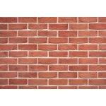 Wild Stone Holland Brick 302 fasádní bastia cihlová 21 x 6 cm 1m² – Hledejceny.cz