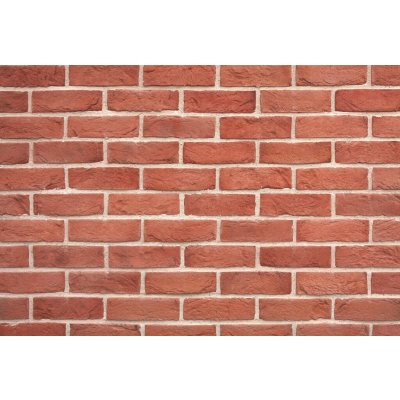 Wild Stone Holland Brick 302 fasádní bastia cihlová 21 x 6 cm 1m² – Hledejceny.cz