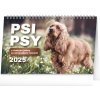 Kalendář NOTIQUE Stolní Psi Psy CZ/SK 23,1 x 14,5 cm 2025