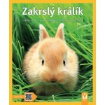 Zakrslý králík - Jak na to - Weglerová Monika – Hledejceny.cz