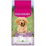 Eukanuba Puppy & Junior Large & Giant Breed Lamb 12 kg – Hledejceny.cz