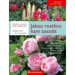 Jakou rostlinu kam zasadit - Ursel Borstell