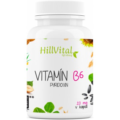 HillVital Vitamín B6 Pyridoxin 100 kapslí – Zboží Mobilmania