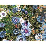 Zuty Malování podle čísel CHRPY MODRÉ – Zboží Dáma