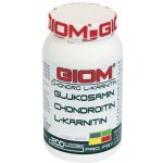Giom Chondro L-karnitin 200 g – Hledejceny.cz
