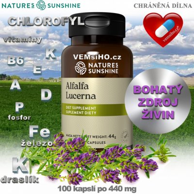 Nature's Sunshine USA AlfAlfa Tolice Vojtěška 100 kapslí po 440 mg – Hledejceny.cz
