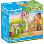 Playmobil 71243 Kůň s hříbkou – Hledejceny.cz