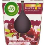 Air Wick Essential oils Višňový čaj 105 g – Zboží Dáma