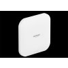 WiFi komponenty Netgear WAX620-100EUS