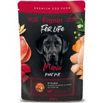 Fitmin For Life Dog Menu meat mix 10 x 350 g – Hledejceny.cz