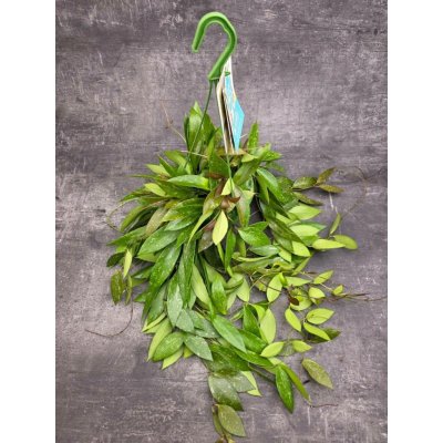 Hoya Memoria závěs 14 cm – Hledejceny.cz