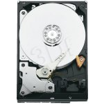 Seagate IronWolf 1TB, ST1000VN002 – Zbozi.Blesk.cz