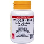 Sinecura WBO5.9-1969 baihe gujin tang 60 tablet – Hledejceny.cz