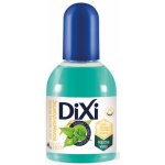 Dixi vlasová voda kopřivová mastné vlasy 125 ml – Hledejceny.cz