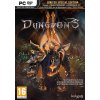 Hra na PC Dungeons 2 (Limited Special Edition)