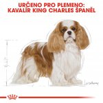 Royal Canin Cavalier King Charles Adult 0,5 kg – Hledejceny.cz