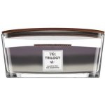 WoodWick Trilogy Amethyst Sky 453,6 g – Zboží Dáma