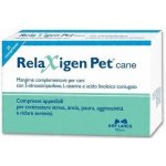 NBF Lanes Relaxigen Pet pro psy 20 tbl – Zboží Mobilmania