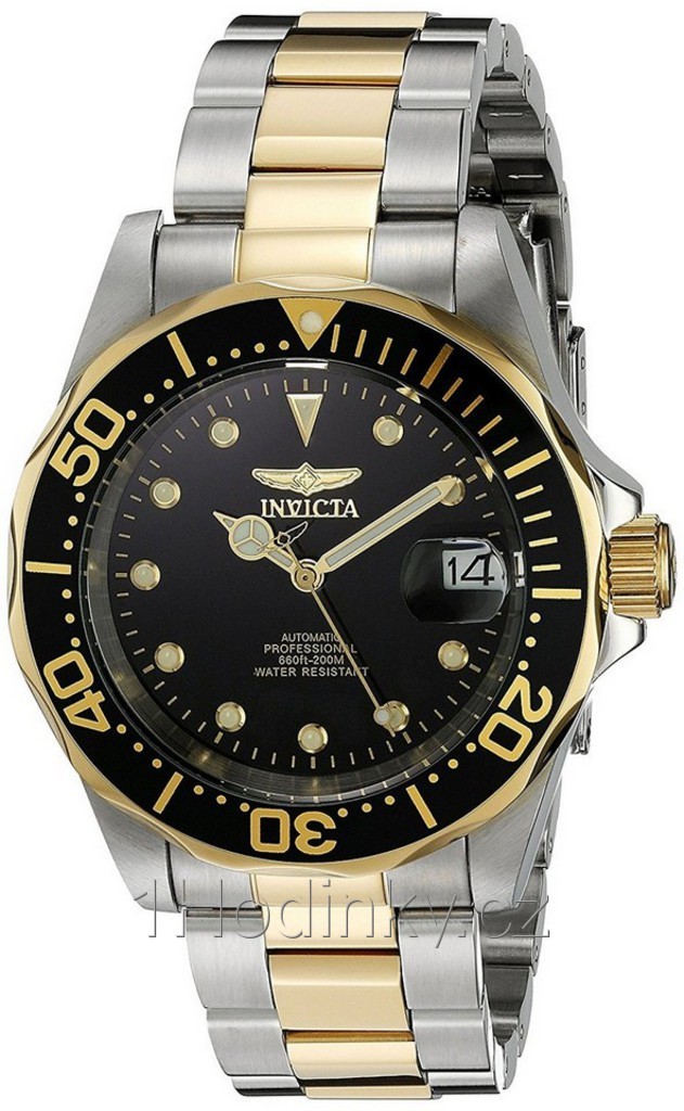 Invicta 17043