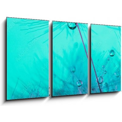 Obraz 3D třídílný - 90 x 50 cm - Parachute seed from a dandelion on a blue background Padák osivo z pampelišky na modrém pozadí – Zboží Mobilmania
