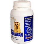 Orling - Gelacan Champion psi barevná plemena 150 g – Hledejceny.cz