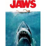 CLEMENTONI Cult Movies: Čelisti 500 dílků – Sleviste.cz