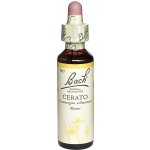 Bachovy květové esence kapky Cerato Rožec 20 ml – Hledejceny.cz